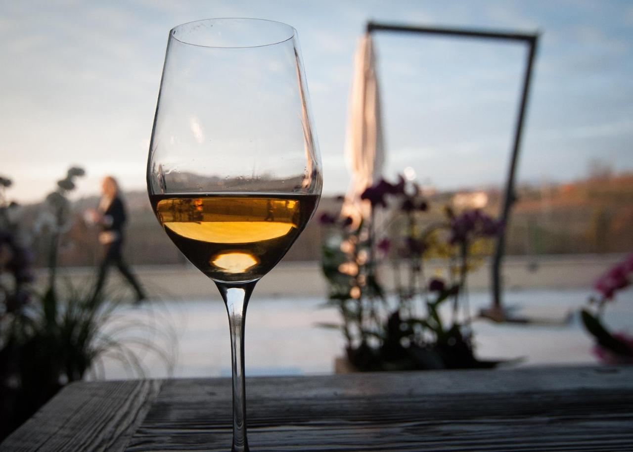 Klanjscek Wine&Stay Гориция Экстерьер фото
